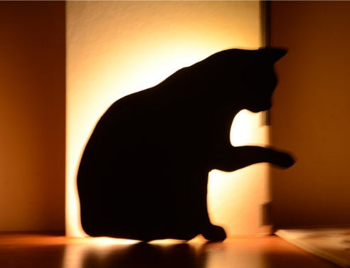 LED Animal  Night Light Sensor Wall Lamps